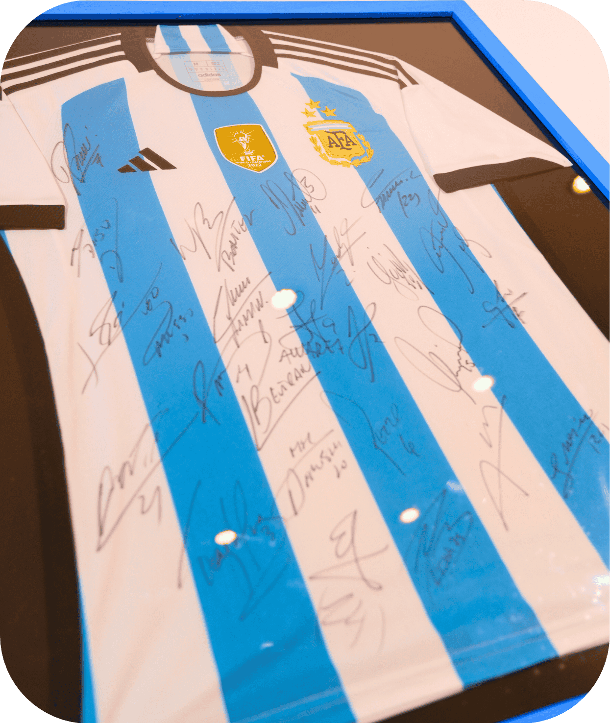 Remera Firmada Selección